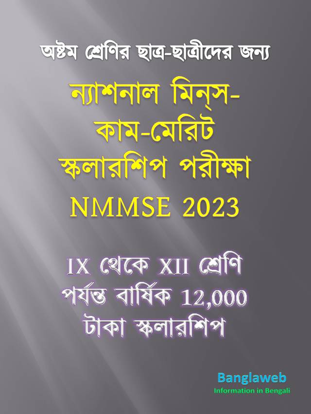 NMMSE 2023